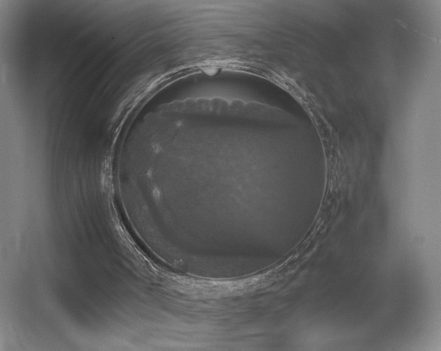 X0000055510002200508121029