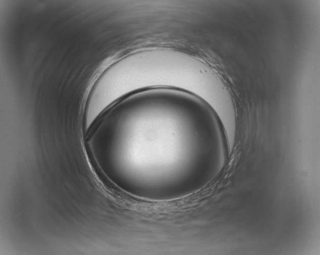 X0000055510003200508121029
