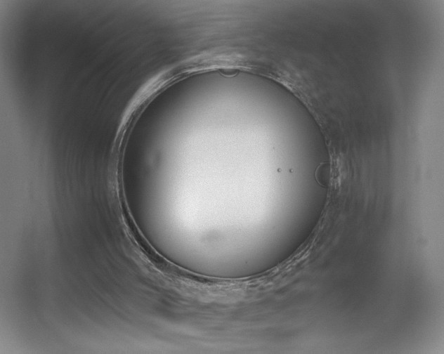 X0000055510004200508121029