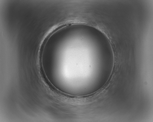 X0000055510008200508121029