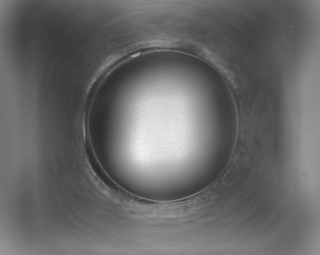 X0000055510011200508121029