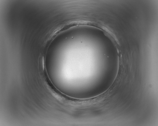 X0000055510013200508121029