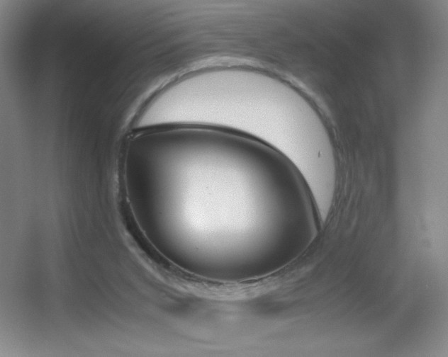 X0000055510015200508121029