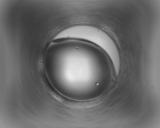 X0000055510017200508121029