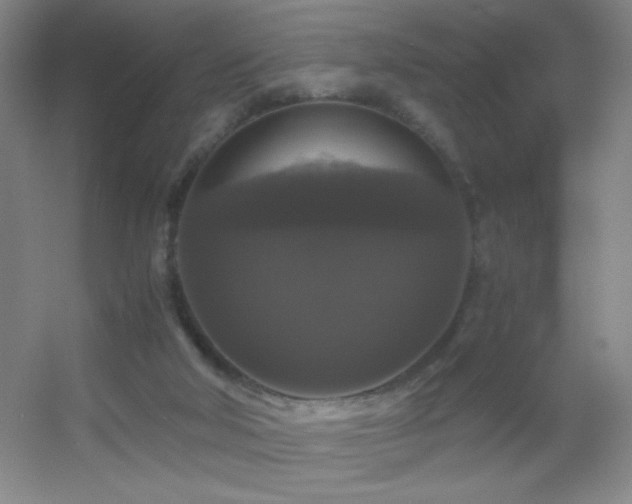 X0000055510018200508121029
