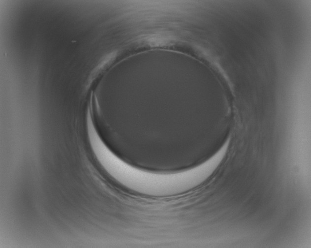 X0000055510019200508121029