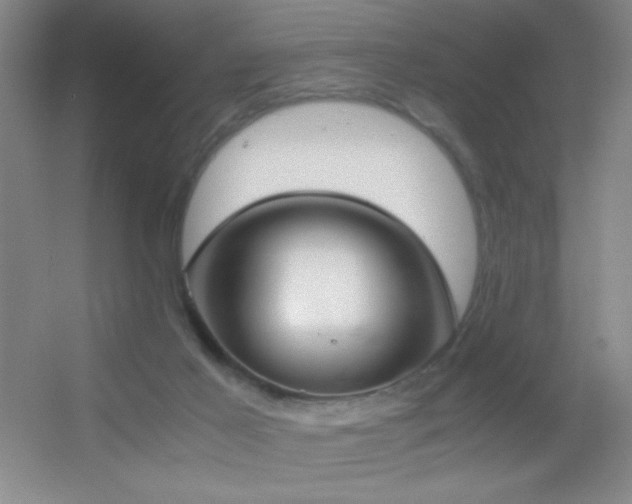 X0000055510021200508121029