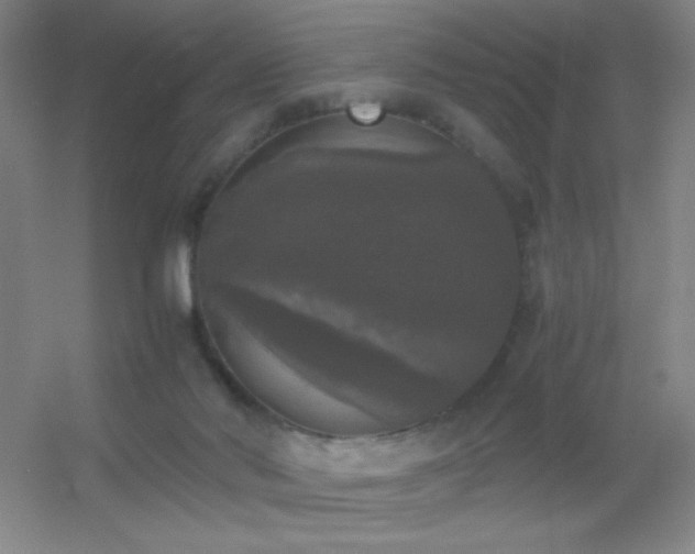 X0000055510022200508121029