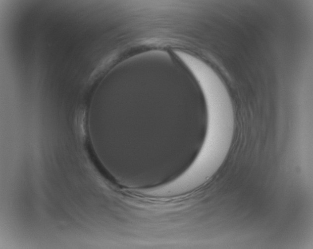 X0000055510023200508121029