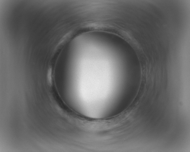 X0000055510024200508121029