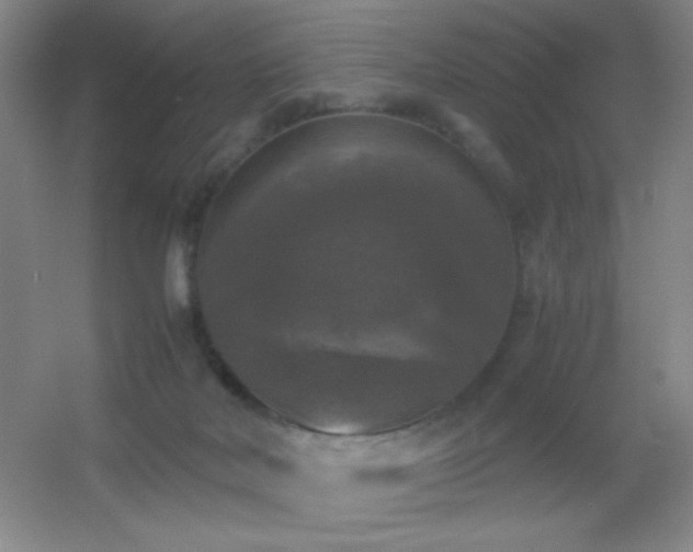 X0000055510026200508121029