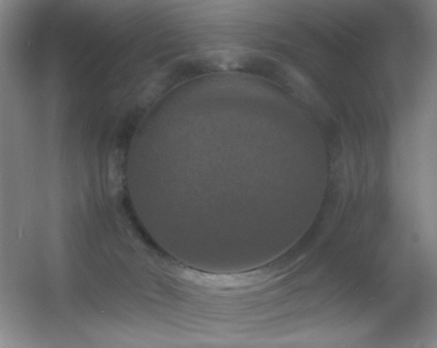 X0000055510030200508121029