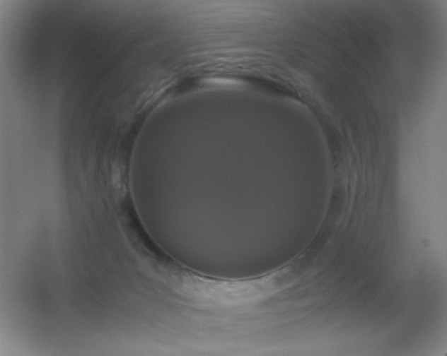 X0000055510031200508121029
