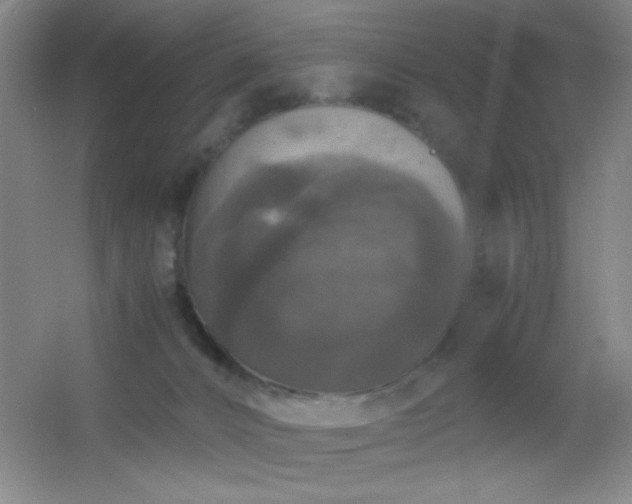 X0000055510032200508121029