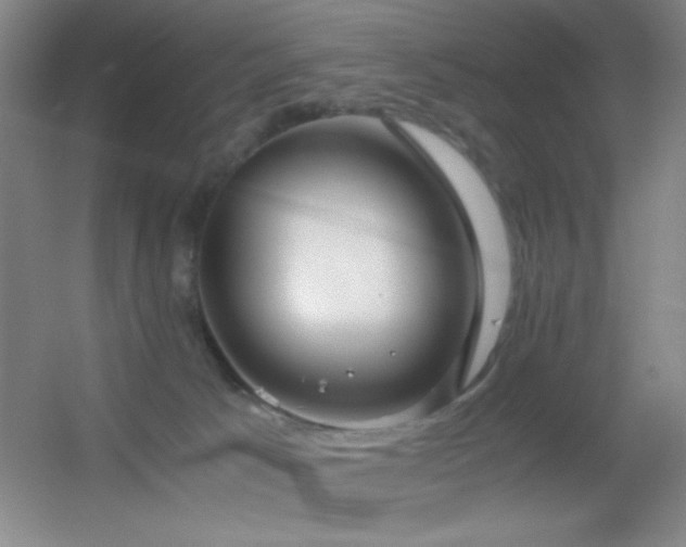 X0000055510033200508121029