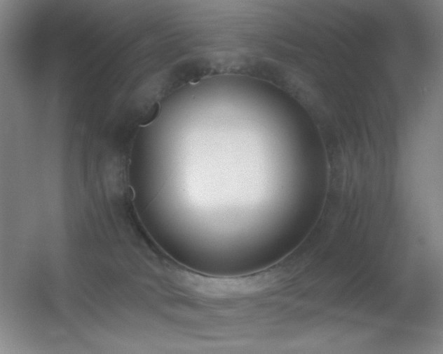 X0000055510034200508121029