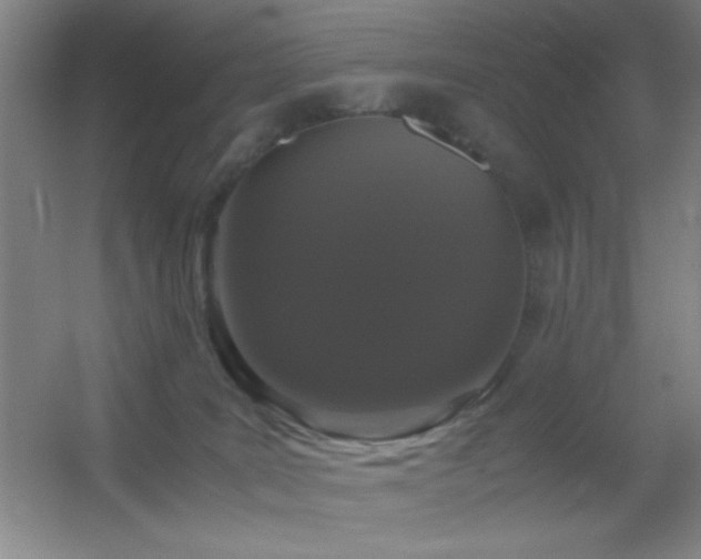 X0000055510035200508121029