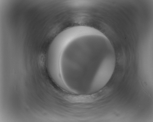 X0000055510036200508121029