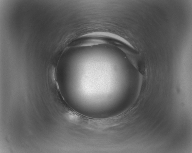 X0000055510041200508121029