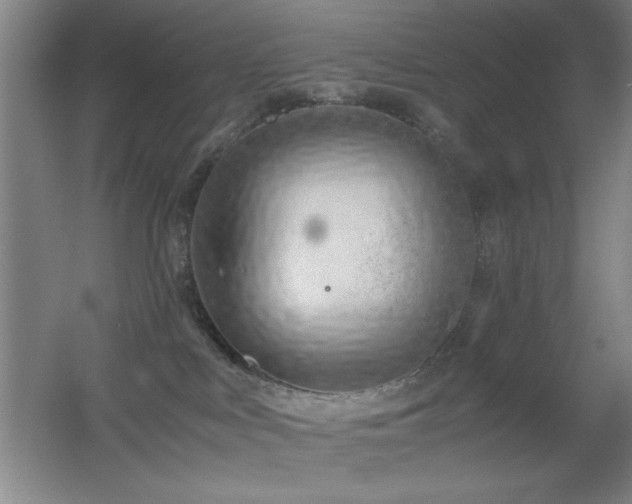 X0000055510043200508121028