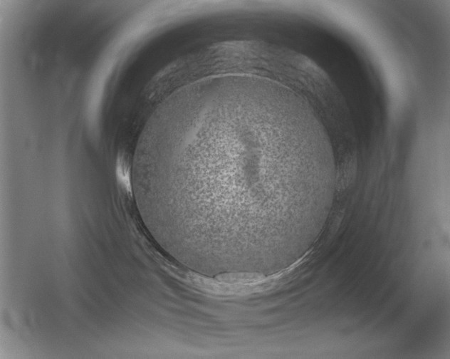 X0000055510047200508121028
