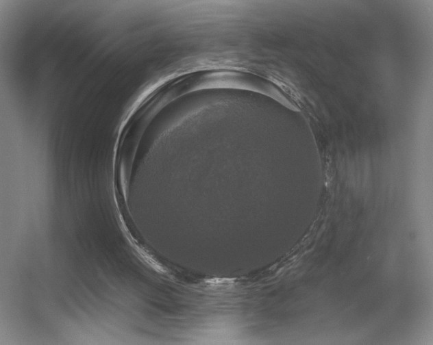 X0000055510052200508121028