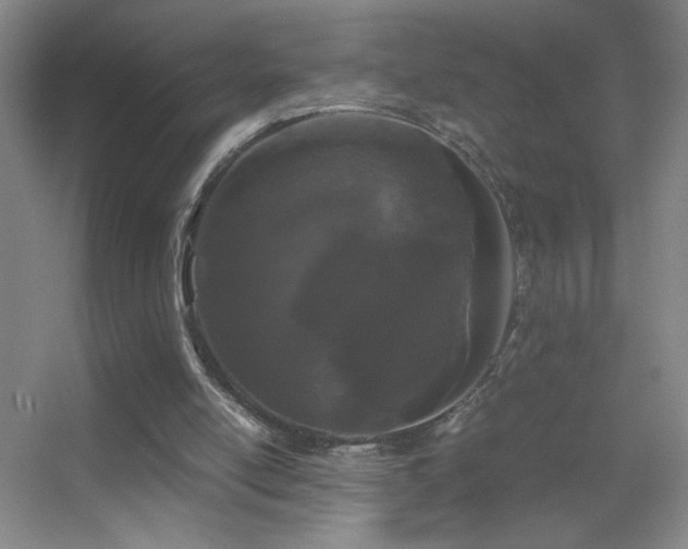 X0000055510054200508121028