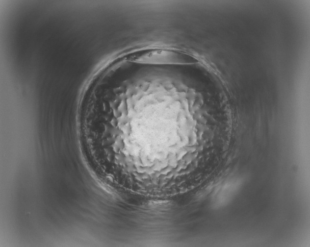 X0000055510055200508121028