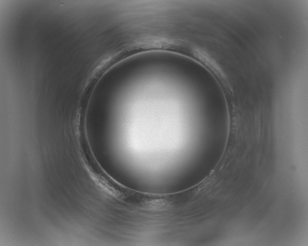 X0000055510058200508121028