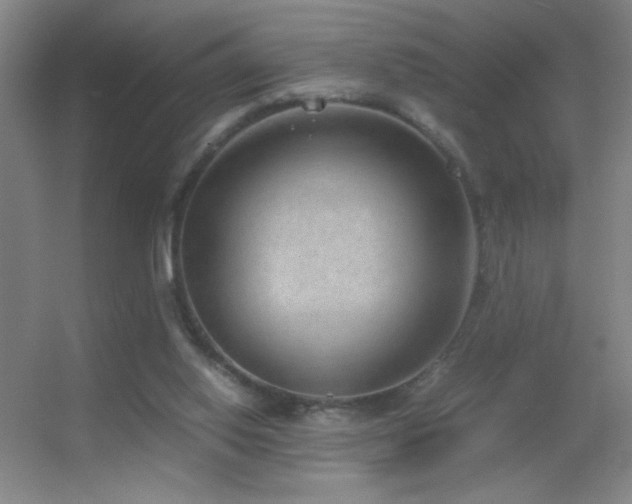 X0000055510062200508121028