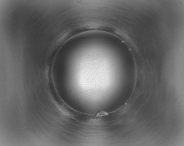 X0000055510066200508121028