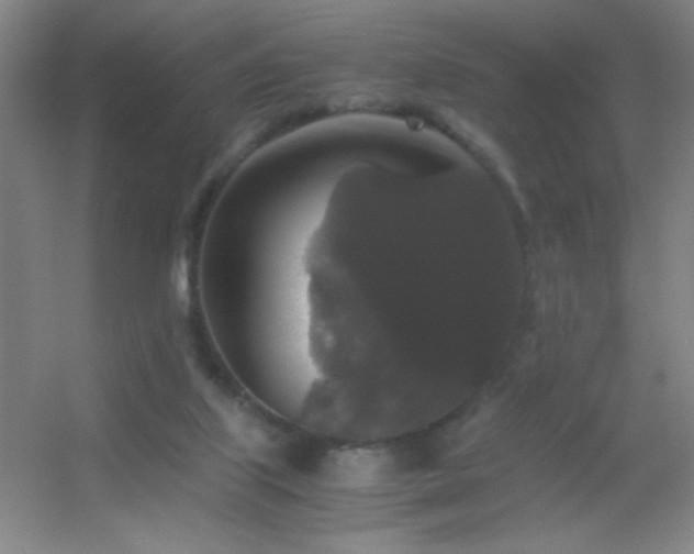 X0000055510067200508121028