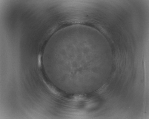 X0000055510070200508121028