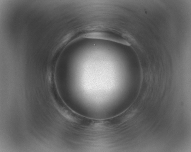 X0000055510072200508121028