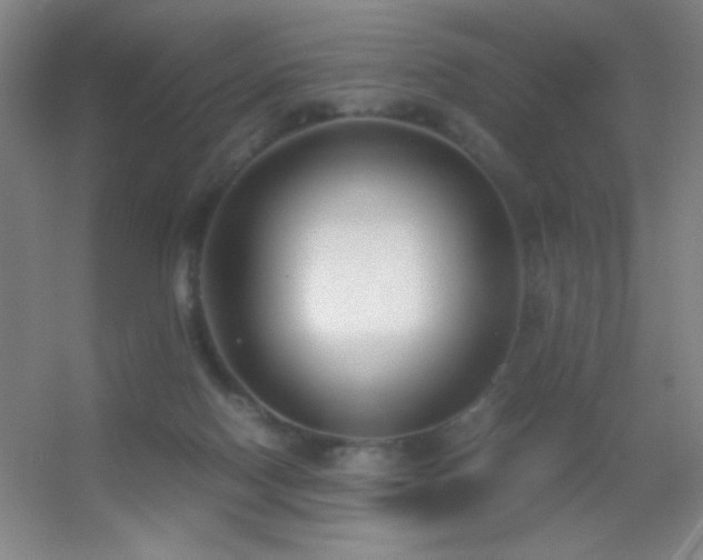 X0000055510074200508121028