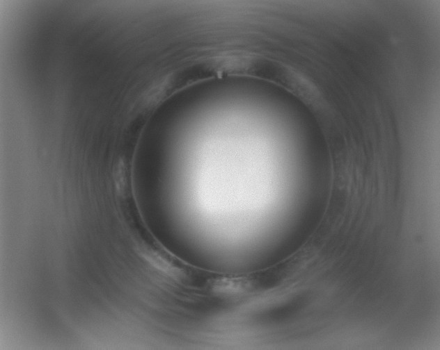 X0000055510077200508121028