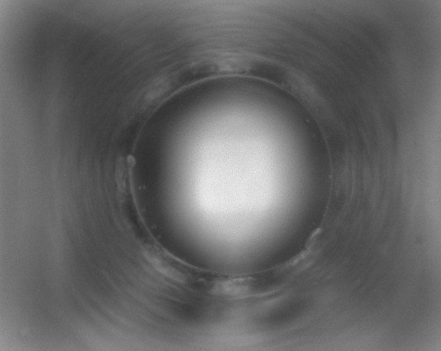 X0000055510078200508121028