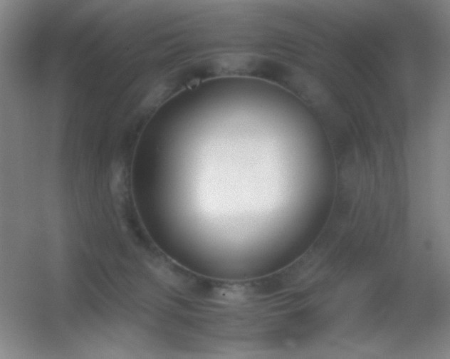 X0000055510079200508121028