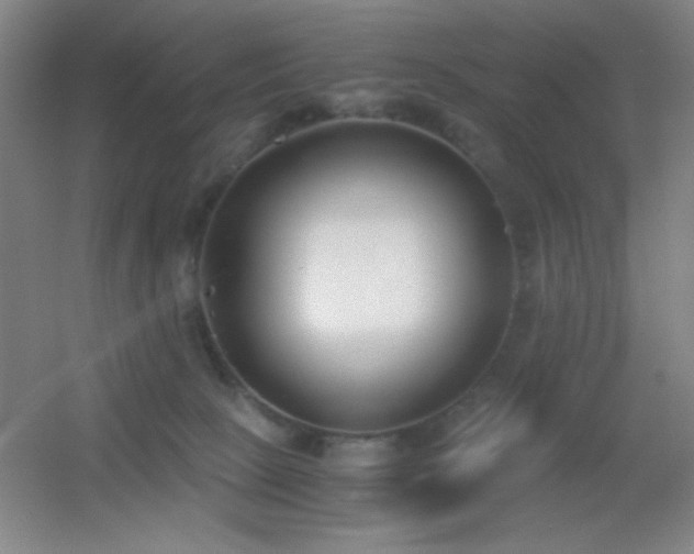 X0000055510081200508121028