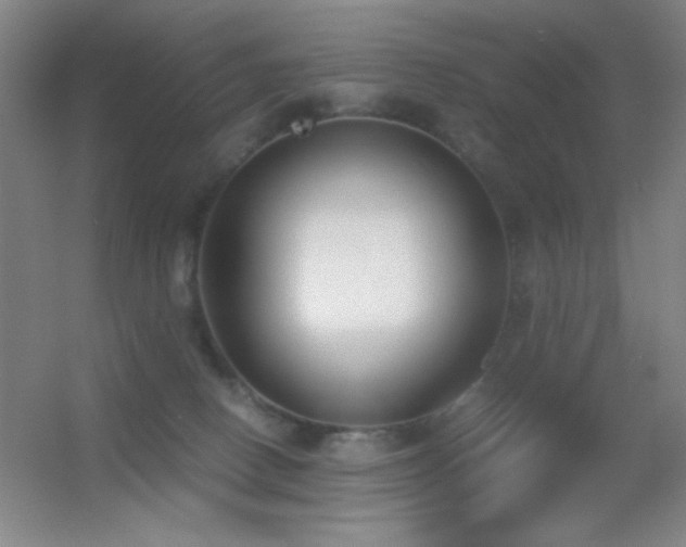 X0000055510082200508121028