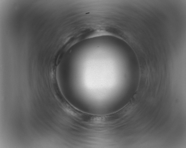 X0000055510084200508121028
