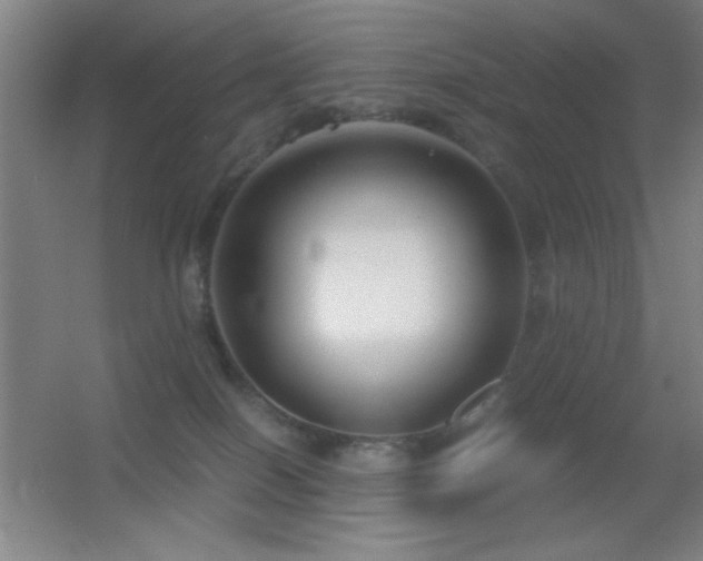 X0000055510086200508121028