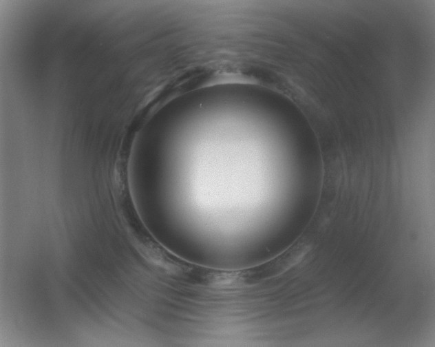 X0000055510088200508121028