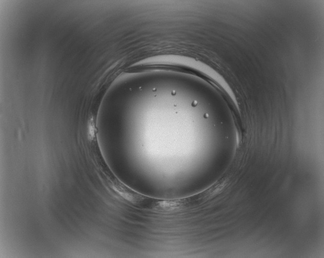 X0000055510095200508121028