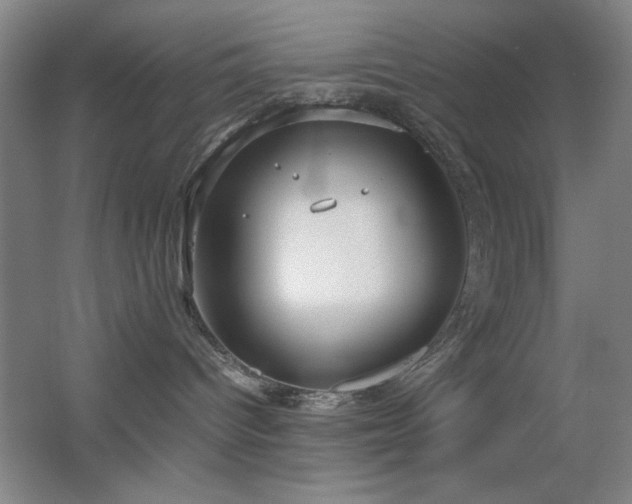 X0000055510096200508121028