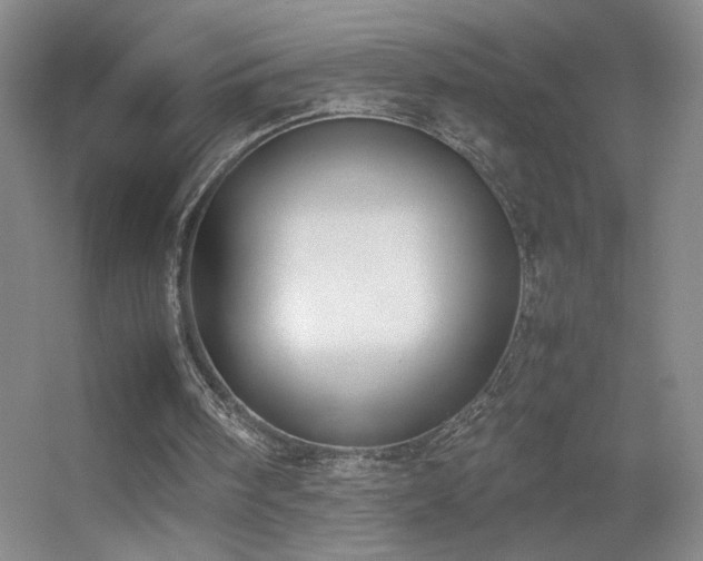 X0000055510098200508121028