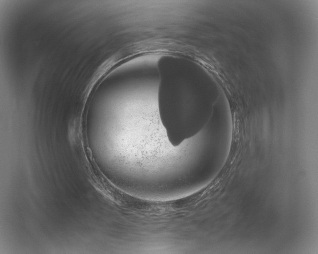 X0000055510099200508121028