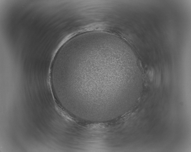 X0000055510100200508121027