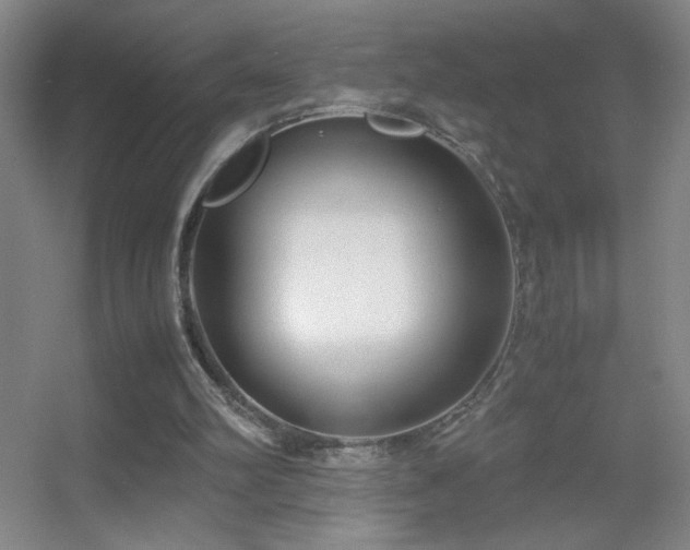 X0000055510102200508121027
