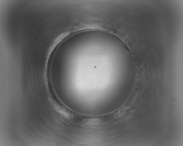X0000055510104200508121027
